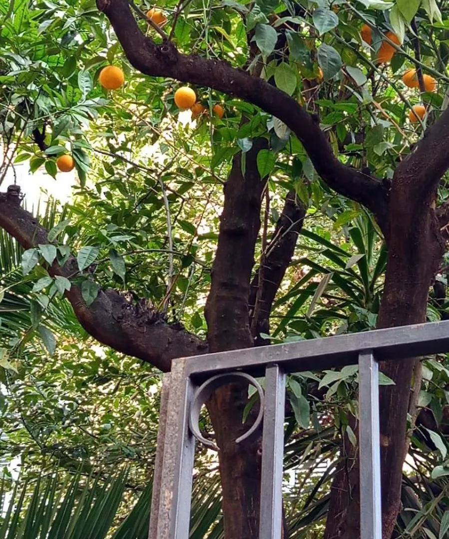Appartement Familial Au Coeur De Rome Italy